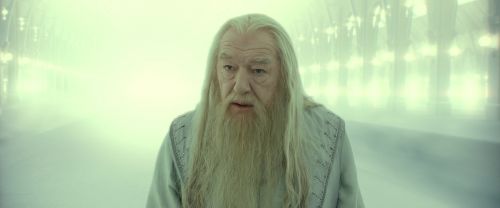 RdM2-Potterish_10968.jpg