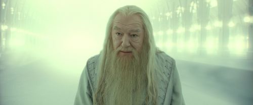 RdM2-Potterish_10973.jpg