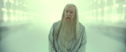 RdM2-Potterish_11034.jpg
