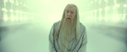 RdM2-Potterish_11035.jpg