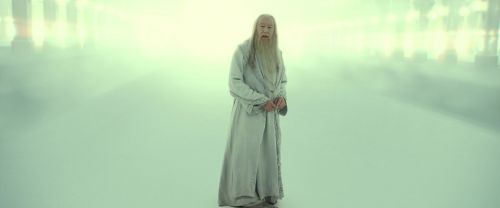 RdM2-Potterish_11072.jpg
