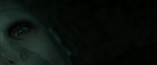RdM2-Potterish_11115.jpg