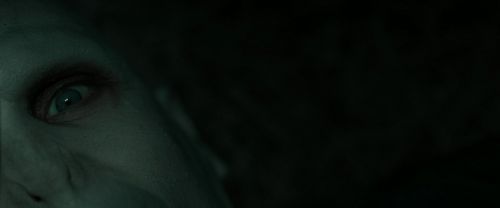 RdM2-Potterish_11116.jpg
