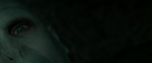 RdM2-Potterish_11117.jpg