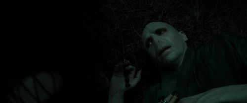 RdM2-Potterish_11120.jpg