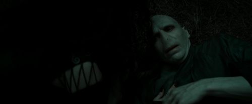 RdM2-Potterish_11121.jpg
