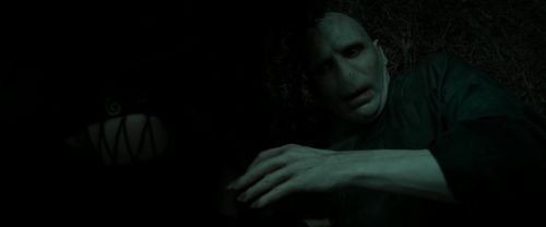 RdM2-Potterish_11122.jpg