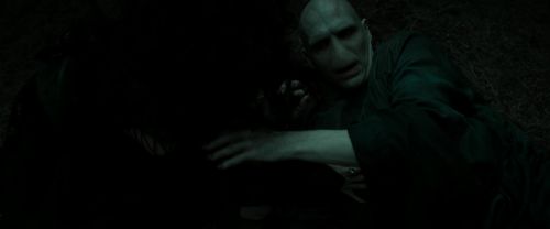 RdM2-Potterish_11124.jpg