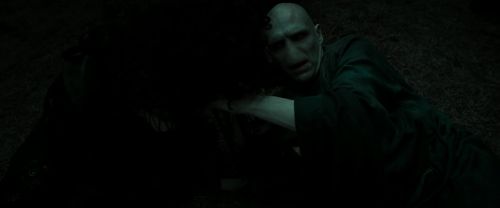 RdM2-Potterish_11125.jpg