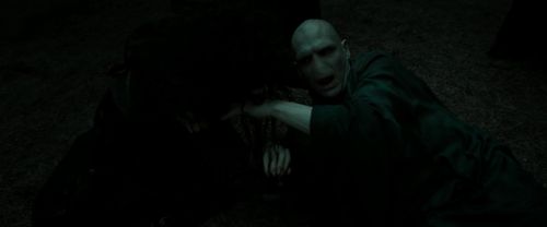 RdM2-Potterish_11126.jpg