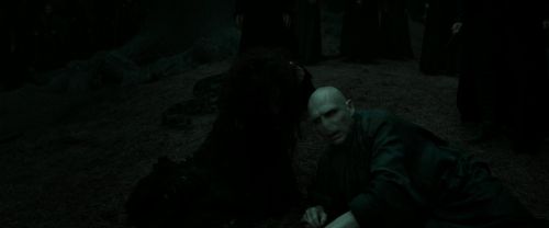 RdM2-Potterish_11128.jpg
