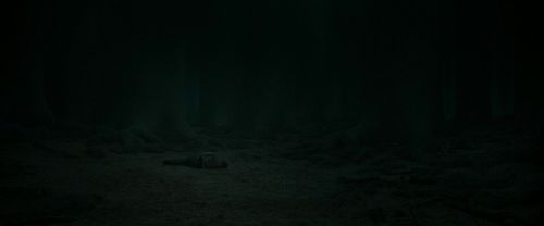 RdM2-Potterish_11140.jpg