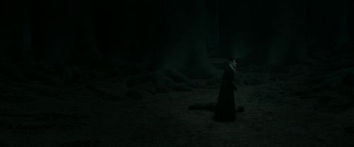 RdM2-Potterish_11160.jpg