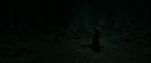 Click to view full size image
==============
RdM2-Potterish_11161.jpg RdM2-Potterish_11161.jpg