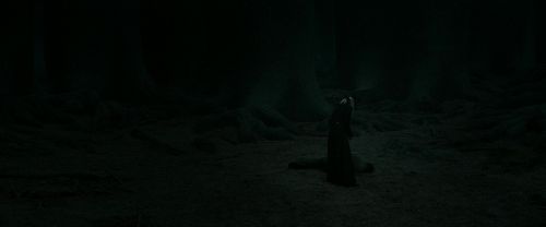 RdM2-Potterish_11162.jpg