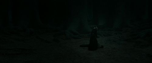 RdM2-Potterish_11163.jpg