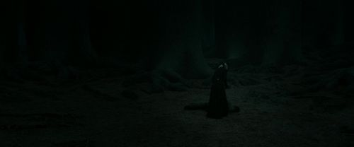 RdM2-Potterish_11164.jpg