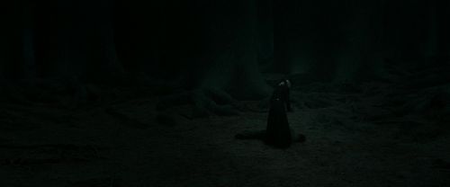 Click to view full size image
==============
RdM2-Potterish_11165.jpg RdM2-Potterish_11165.jpg