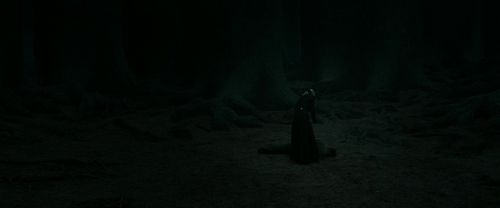 RdM2-Potterish_11166.jpg