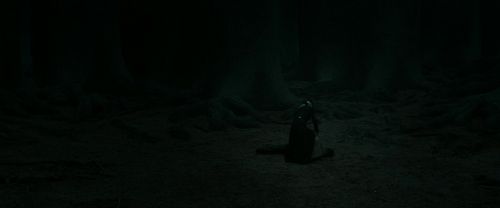 Click to view full size image
==============
RdM2-Potterish_11169.jpg RdM2-Potterish_11169.jpg