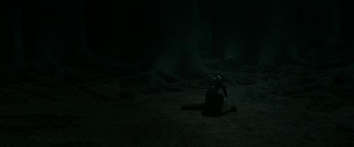 Click to view full size image
==============
RdM2-Potterish_11170.jpg RdM2-Potterish_11170.jpg