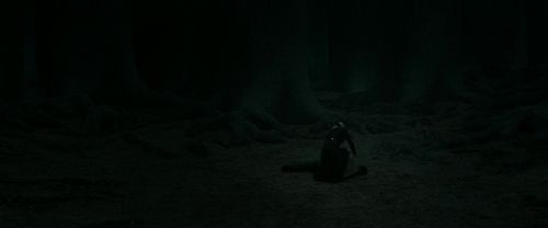 Click to view full size image
==============
RdM2-Potterish_11171.jpg RdM2-Potterish_11171.jpg