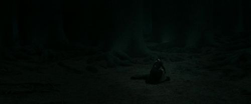 Click to view full size image
==============
RdM2-Potterish_11173.jpg RdM2-Potterish_11173.jpg