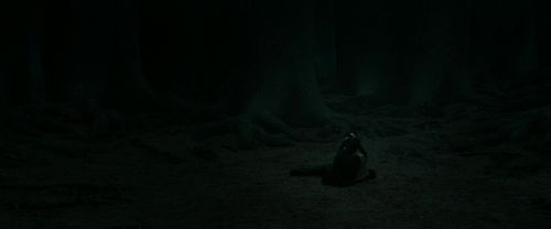 Click to view full size image
==============
RdM2-Potterish_11174.jpg RdM2-Potterish_11174.jpg