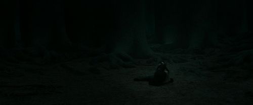 RdM2-Potterish_11175.jpg