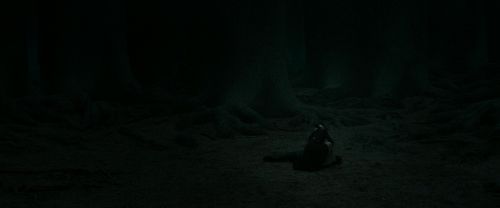 RdM2-Potterish_11176.jpg