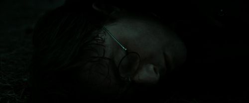 RdM2-Potterish_11200.jpg
