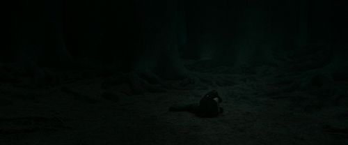 RdM2-Potterish_11207.jpg