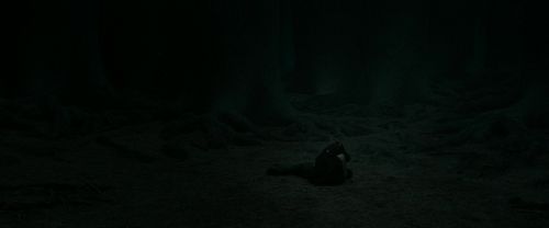 Click to view full size image
==============
RdM2-Potterish_11208.jpg RdM2-Potterish_11208.jpg