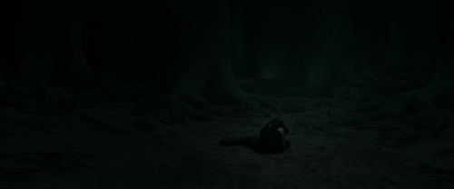 Click to view full size image
==============
RdM2-Potterish_11209.jpg RdM2-Potterish_11209.jpg