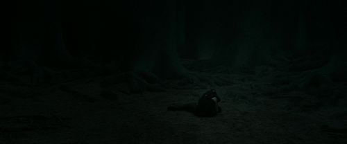 Click to view full size image
==============
RdM2-Potterish_11210.jpg RdM2-Potterish_11210.jpg