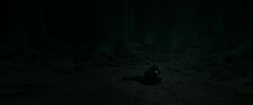 Click to view full size image
==============
RdM2-Potterish_11211.jpg RdM2-Potterish_11211.jpg