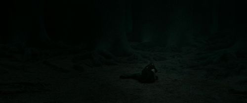 Click to view full size image
==============
RdM2-Potterish_11212.jpg RdM2-Potterish_11212.jpg