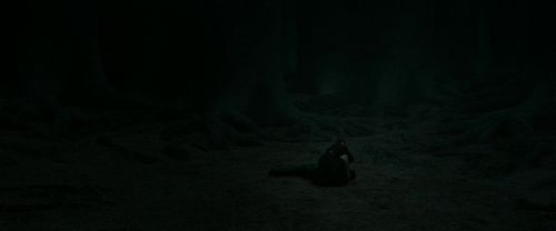 Click to view full size image
==============
RdM2-Potterish_11213.jpg RdM2-Potterish_11213.jpg