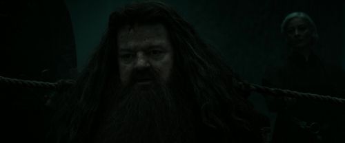 RdM2-Potterish_11217.jpg