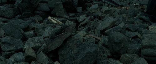 RdM2-Potterish_11247.jpg