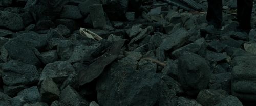 RdM2-Potterish_11249.jpg