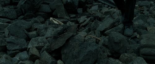 RdM2-Potterish_11252.jpg