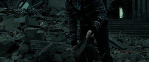 RdM2-Potterish_11261.jpg