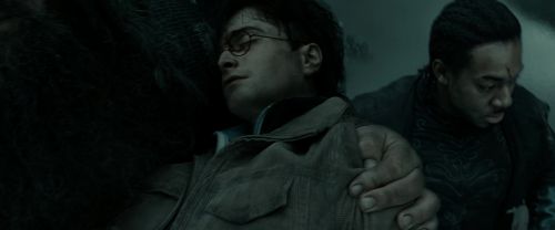 RdM2-Potterish_11317.jpg