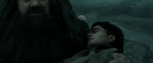 RdM2-Potterish_11321.jpg