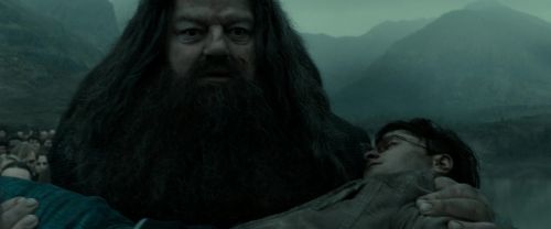 RdM2-Potterish_11325.jpg
