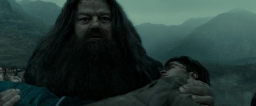 RdM2-Potterish_11327.jpg
