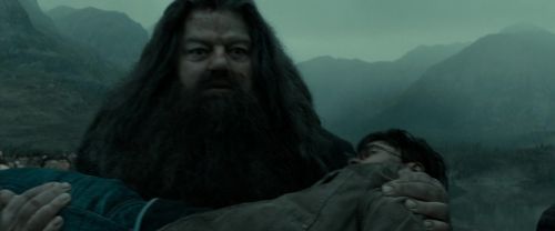 RdM2-Potterish_11328.jpg