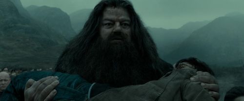 Click to view full size image
==============
RdM2-Potterish_11329.jpg RdM2-Potterish_11329.jpg