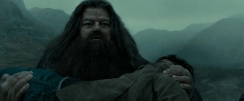 RdM2-Potterish_11330.jpg